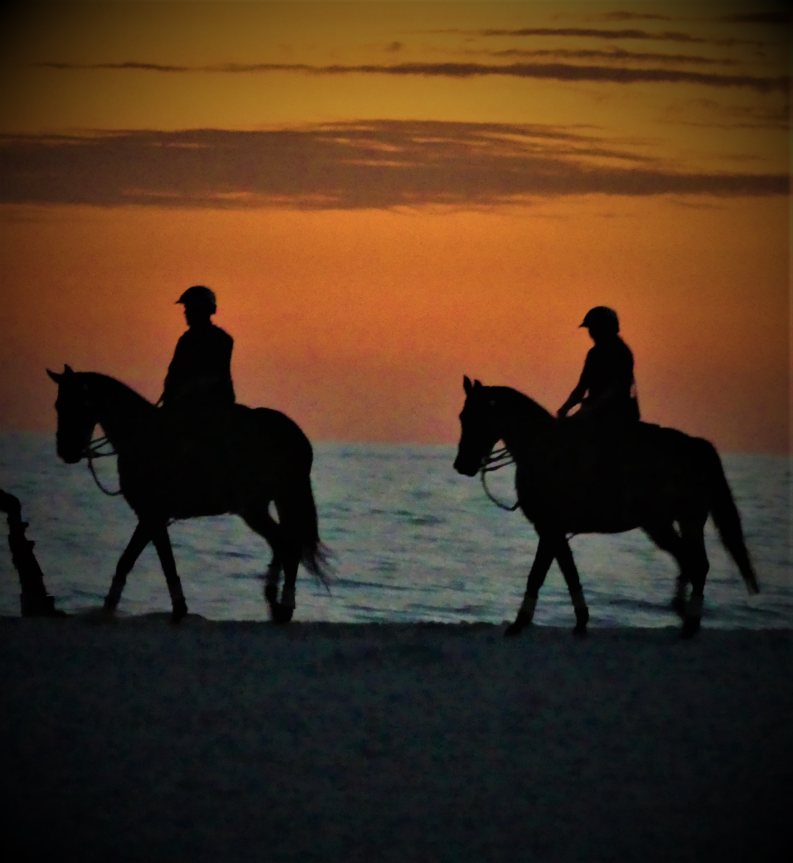 P2400673 (2) horses beach sunset - Holly on the Lake