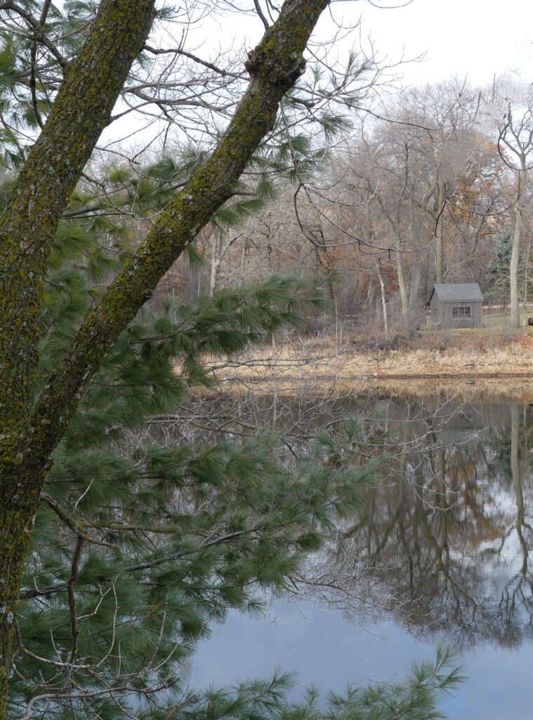 shed with lake open in December